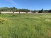 9800 Victoria Way photo